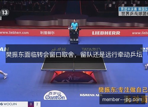 樊振东面临转会窗口取舍，留队还是远行牵动乒坛